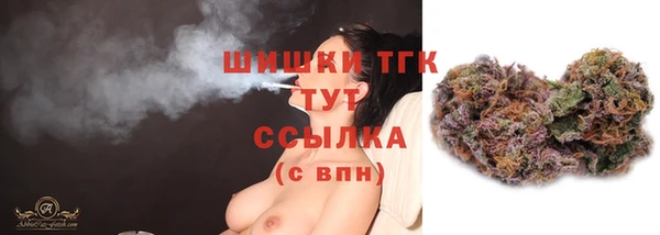 прущие грибы Сафоново