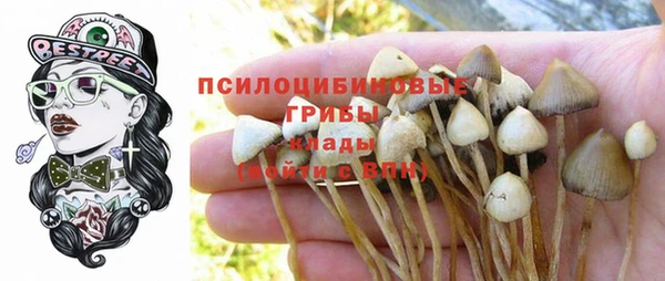 прущая мука Алзамай