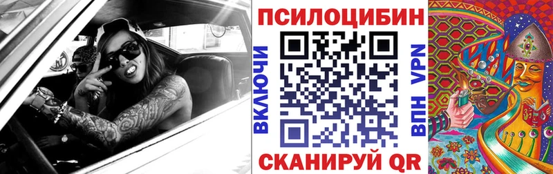 закладки  Гдов  blacksprut ССЫЛКА  Галлюциногенные грибы Psilocybine cubensis 
